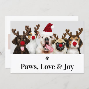 Invitación Paws Love and Joy Dog Navidades 5 Photo Card