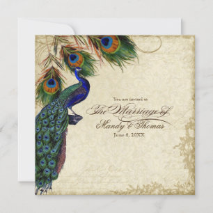 Invitación Peacock & Feathers Tea Boda formal mantenida