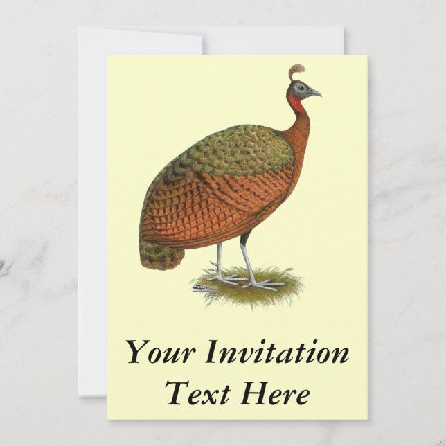 Invitación Peafowl: Congo Peahen (Anverso)