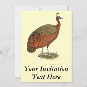Invitación Peafowl: Congo Peahen