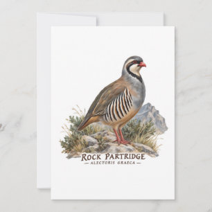 Invitación Perdiz Griega ,Alectoris Graeca Aves de Caza