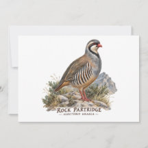 Perdiz Griega, Alectoris Graeca Aves de Caza