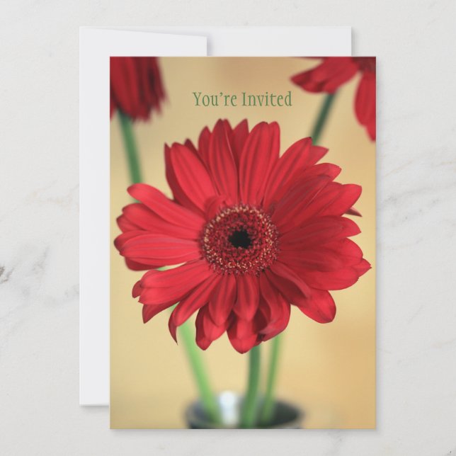 Invitación Perfectamente Bonito (Anverso)