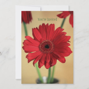 Invitación Perfectamente Bonito