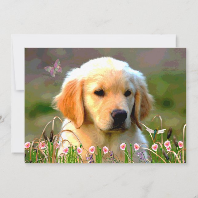 Invitación Perrito de oro de Austin Labrador (Anverso)