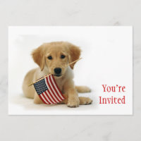 Perrito de oro y bandera americana