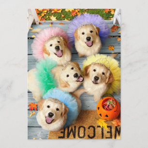 Invitación Perritos Dorados Pidiendo Dulces