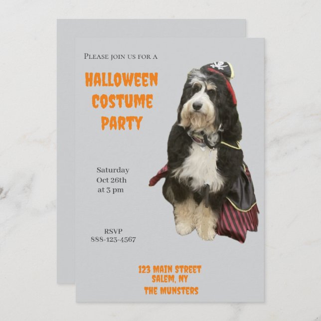 Invitación Perro Bernedoodle en Fiesta de disfraces piratas d (Anverso / Reverso)