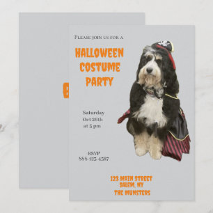 Invitación Perro Bernedoodle en Fiesta de disfraces piratas d