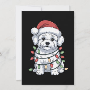 Invitación Perro Bichon Frise Navidad Gorro de Santa Luces de