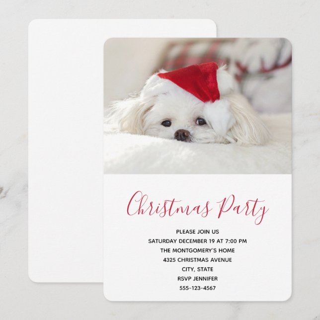Invitación Perro blanco lindo en un Gorra de Navidades rojos (Anverso / Reverso)