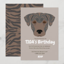 Perro cachorro lindo fiesta de TIGA