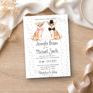 Invitación Perro Chihuahua Novia Novio Boda
