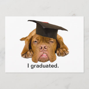 Invitación perro con el gorra de la graduación