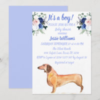 Perro Cute Dachshund Floral Azul Weiner Niño