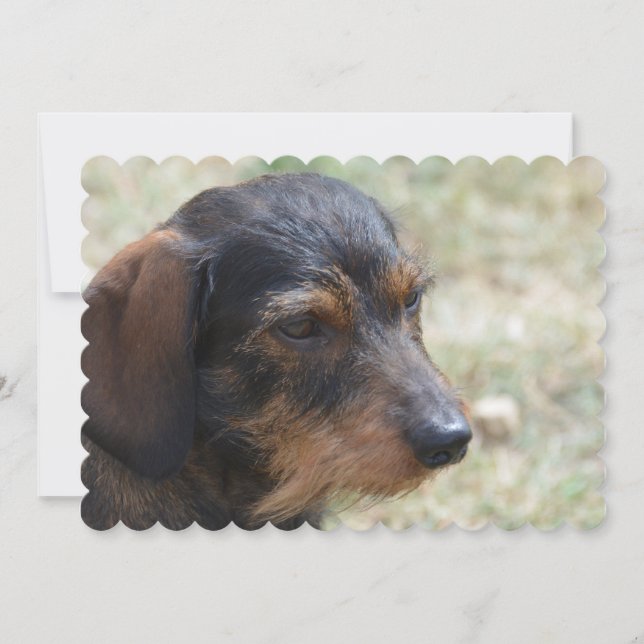 Invitación Perro Daschund, calzado (Anverso)