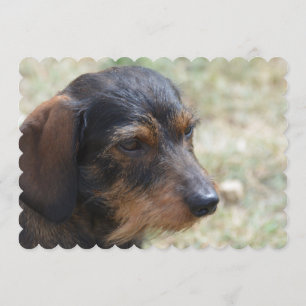 Invitación Perro Daschund, calzado