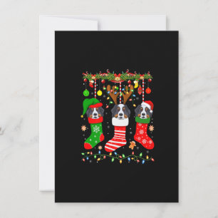 Invitación Perro De Montaña De Berna En Navidades Lanza Xma