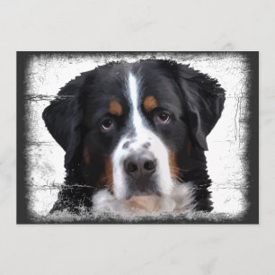 Invitación Perro de montaña de Bernese