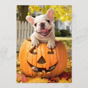 Invitación Perro en Jack-o-Lantern