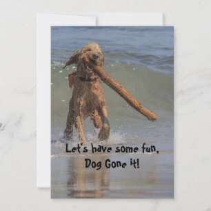 Invitación Perro en la playa