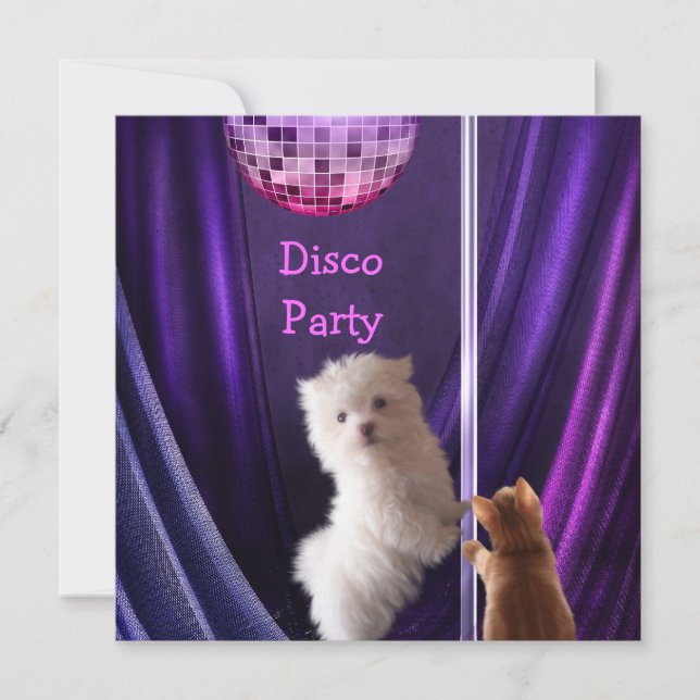 Invitación Perro Gato Maltés Fiesta Disco Despedida de Solter (Anverso)