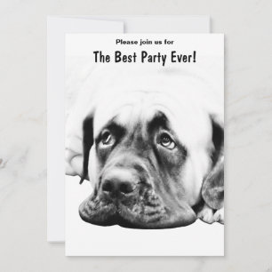 Invitación Perro malvado