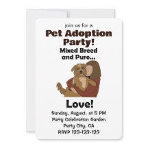 Perro Mestizo Raza Mixta Amor Puro Adopción de Mas