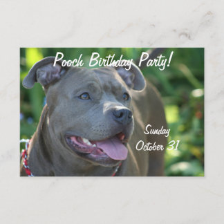 Invitación Perro Pitbull