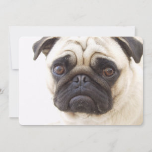 Invitación Perro Pug