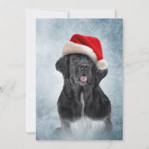 Invitación Perro Terranova en gorra rojo de Santa Claus