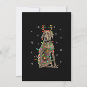 Invitación Perro Weimaraner Luces de Navidad Reno Weimaraner 