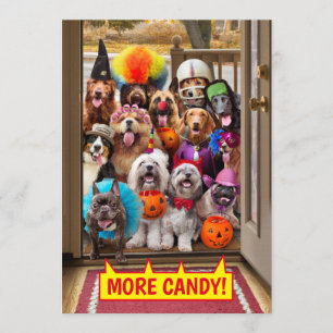 Invitación Perros de Truco o Trato