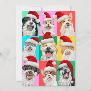 Invitación Perros y Gatos con Barba de Santa