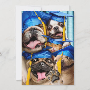 Invitación Perros y gatos graduados en cabina de fotos