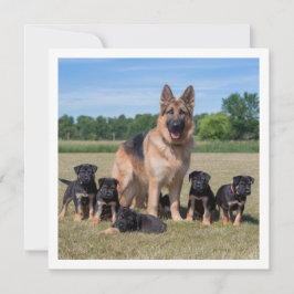 Invitación Personalizable Pastor Alemán con Cachorros Adorabl