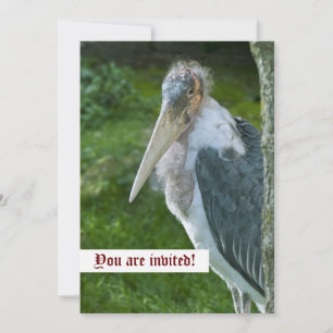 Invitación personalizada de Marabou