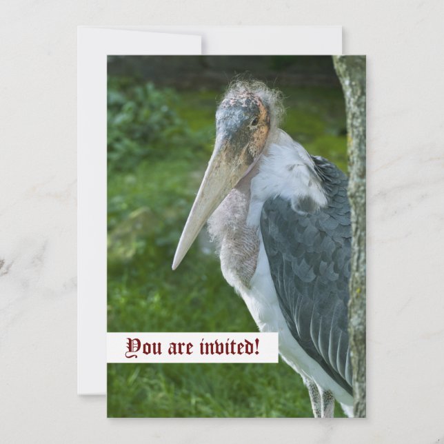 Invitación personalizada de Marabou (Anverso)