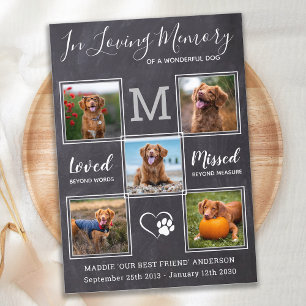 Invitación Personalizado 5 Fotos Mascota Celebración De La Vi