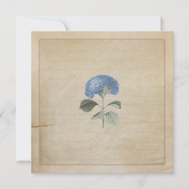 Invitación Personalizado de la ceremonia de Boda de Hidrangea (Anverso)