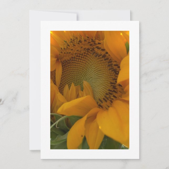 Invitación Personalizado de radiación de girasol (Anverso)