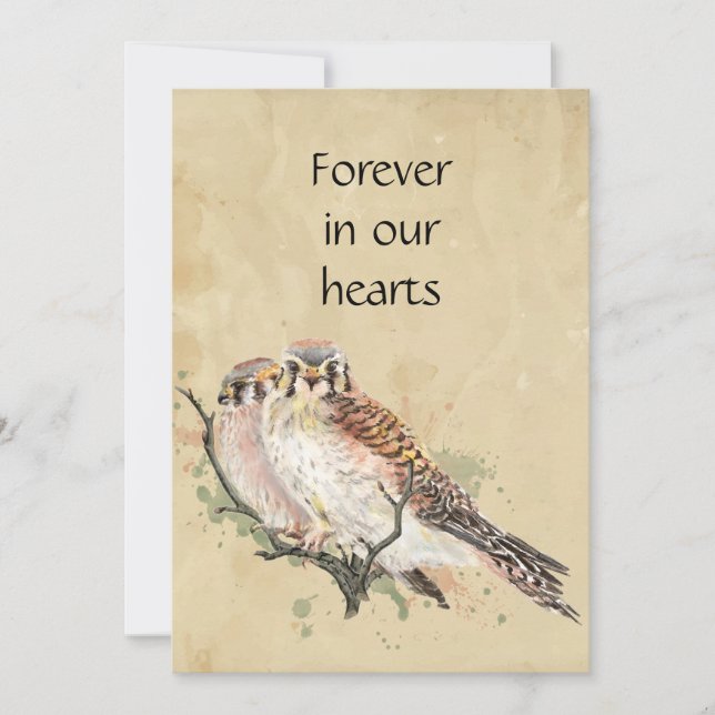 Invitación Personalizado Watercolor Kestrel Bird Art Memorial (Anverso)