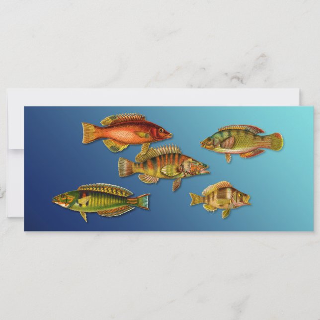 Invitación Pez Colorido (Anverso)