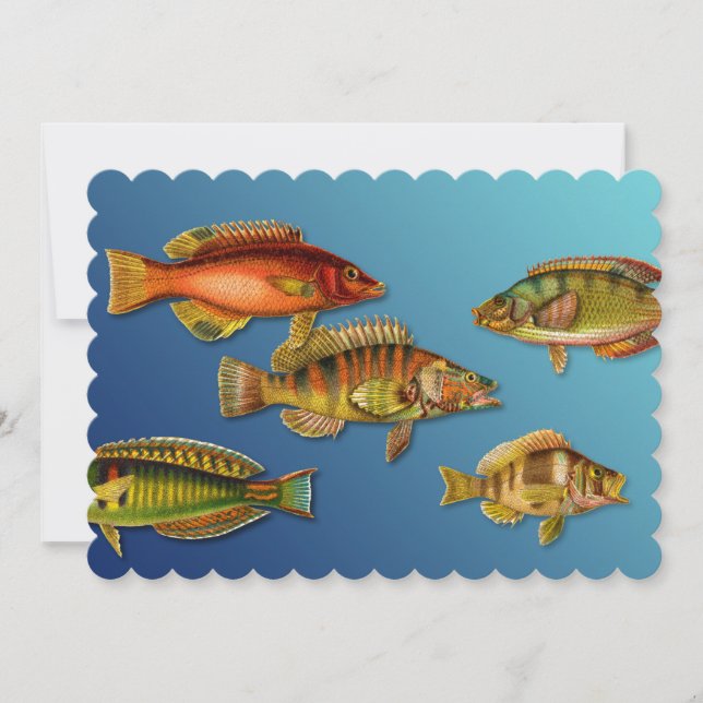 Invitación Pez Colorido (Anverso)