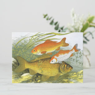 Invitación Pez Koi Goldfish, Vida Marina Acuática Antigua