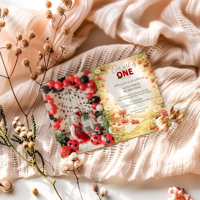Invitación Photo Whimsical Meadow Lady Bug 1st Birthday (Subido por el creador)