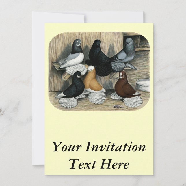 Invitación Pigeones de Tumbler Muffed (Anverso)