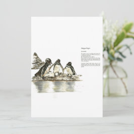 Invitación Pingüinos Pintados A Mano En Peligro