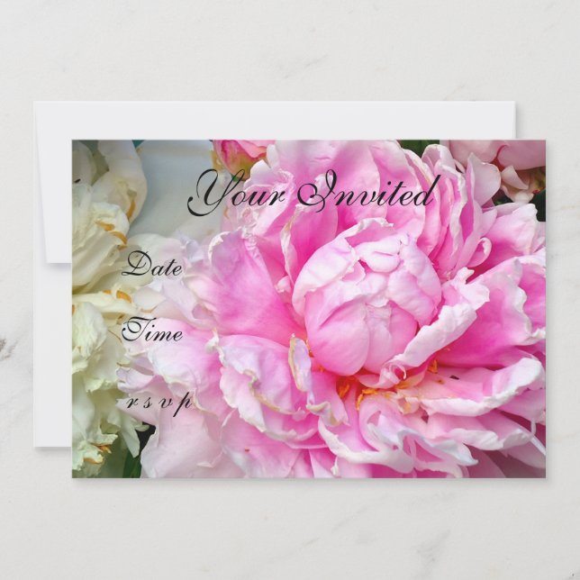 Invitación Pink White peonies floral rosa blanca (Anverso)