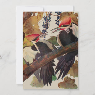 Invitación Pintado de pájaro carpintero con basculante Audubo
